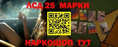 Альфа ПВП Камышлов