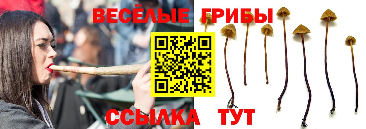 Когалым  Галлюциногенные грибы Cubensis  Галлюциногенные грибы MAGIC MUSHROOMS  Вход с VPN 